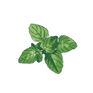 Oregano